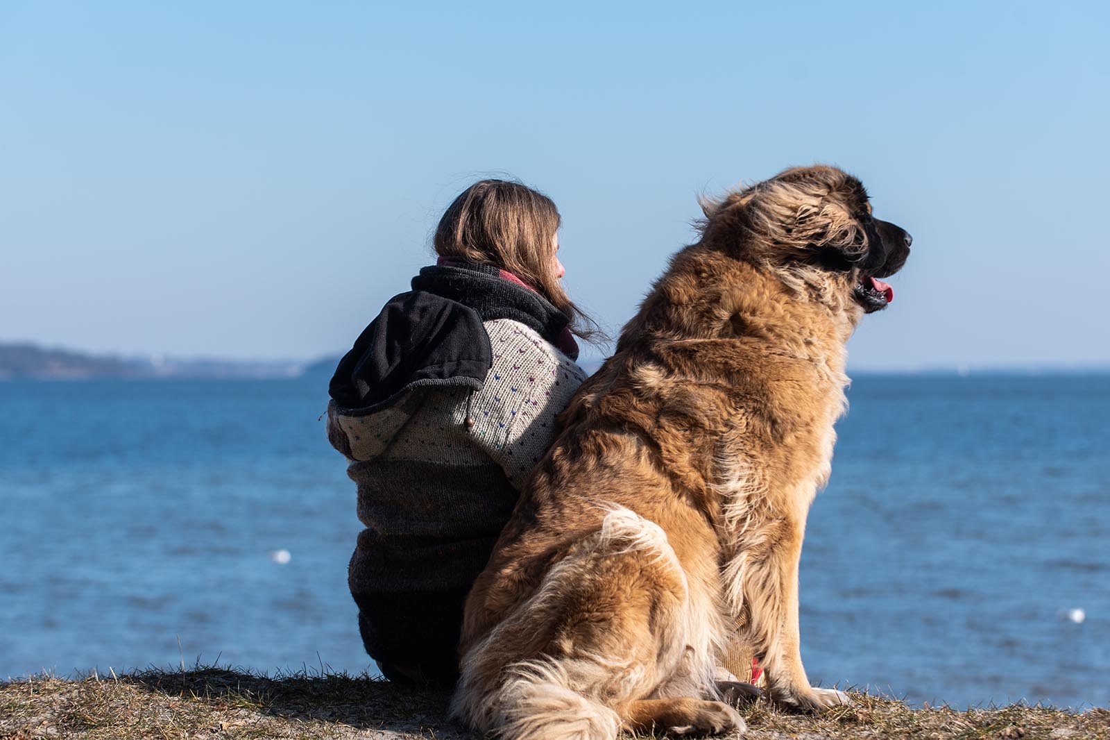 Coaching für eure Hund-Mensch-Beziehung – Stefanie Jensen