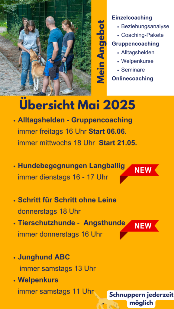 Hundetraining Flensburg